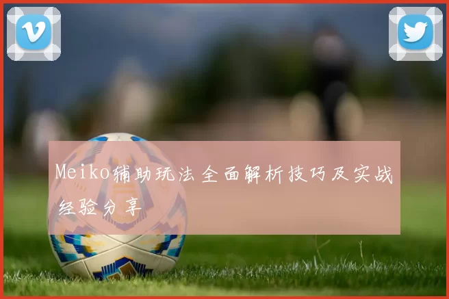 Meiko辅助玩法全面解析技巧及实战经验分享