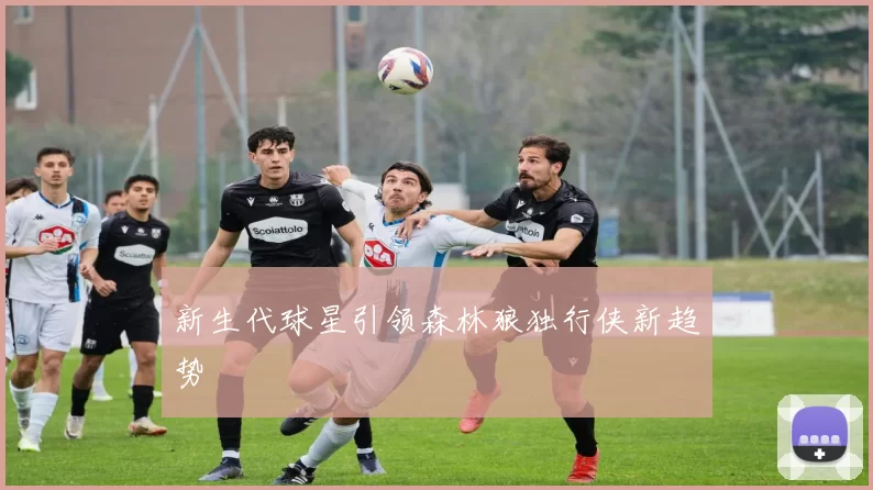 新生代球星引领森林狼独行侠新趋势
